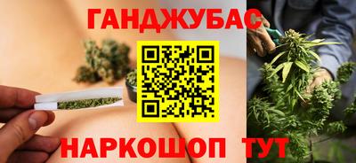гашик Обь